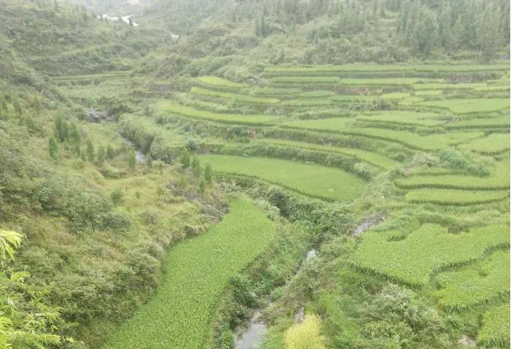 銅仁市萬山區(qū)2018年水土流失重點治理龍溪小流域水土保持生態(tài)治理工程